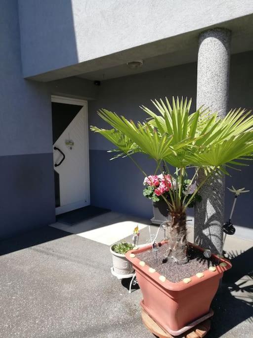 Appartement Agreable Haguenau Exterior foto